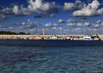 Similar image 1568491