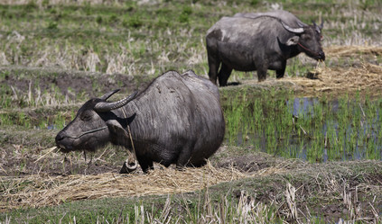 Similar image 1568495