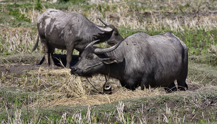 Similar image 1568497