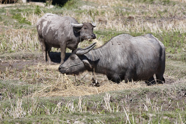 Similar image 1568504