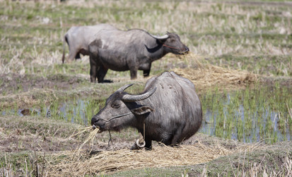 Similar image 1568505