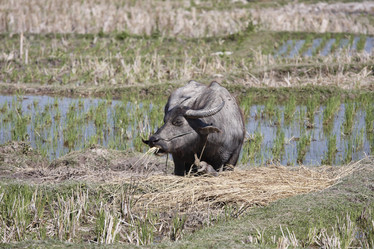 Similar image 1568507