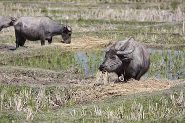 Similar image 1568513