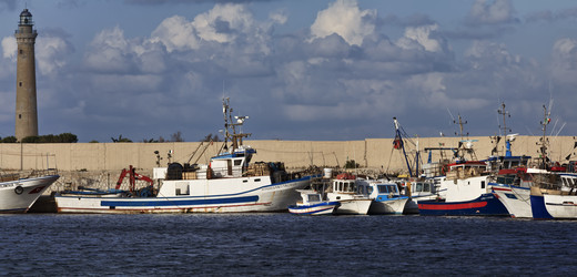 Similar image 1568515