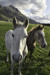 Similar image 1568517