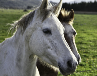 Similar image 1568518