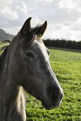 Similar image 1568524