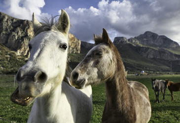 Similar image 1568527