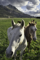 Similar image 1568533