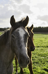 Similar image 1568536