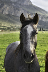 Similar image 1568538