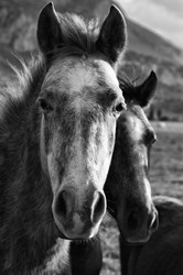 Similar image 1568541