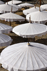 Similar image 1568548