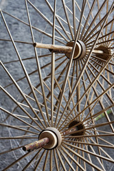 Similar image 1568555