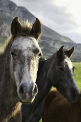 Similar image 1568556