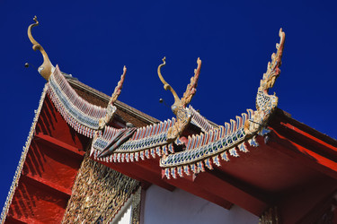 Similar image 1568580