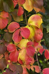 Similar image 1568644