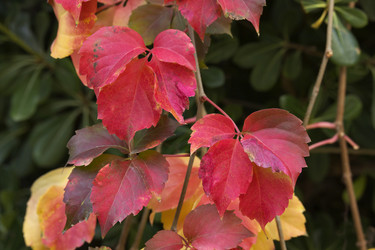 Similar image 1568673