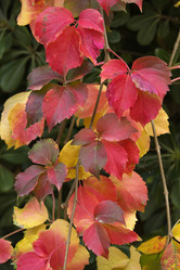 Similar image 1568676