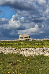 Similar image 1568792