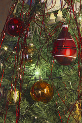 Similar image 1568863