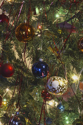 Similar image 1568866