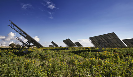 Similar image 1568873