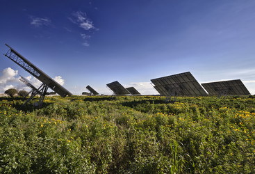 Similar image 1568874