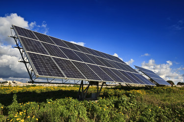 Similar image 1568900