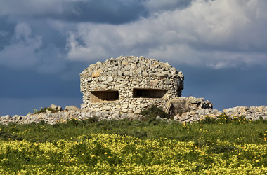 Similar image 1568924