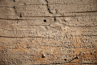 Similar image 1568977