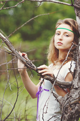 Similar image 1569000