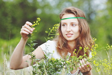 Similar image 1569032