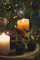 Similar image 1569042