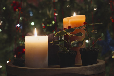 Similar image 1569049