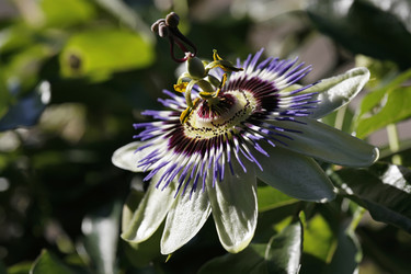 Similar image 1569051