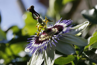 Similar image 1569054