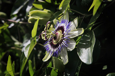 Similar image 1569084