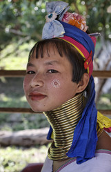 Similar image 1569139