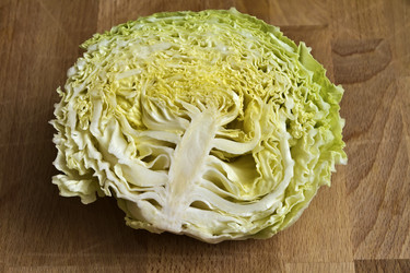 Similar image 1569152