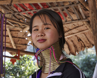 Similar image 1569195