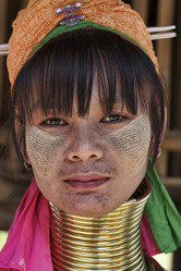 Similar image 1569198