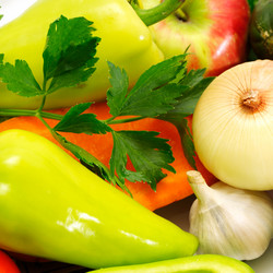 Similar image 1569230