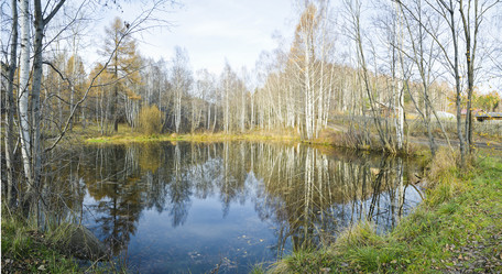 Similar image 1569231