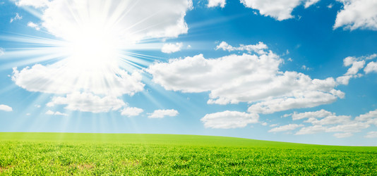 Similar image 1569237