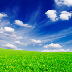 Similar image 1569238