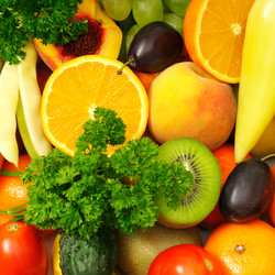 Similar image 1569246