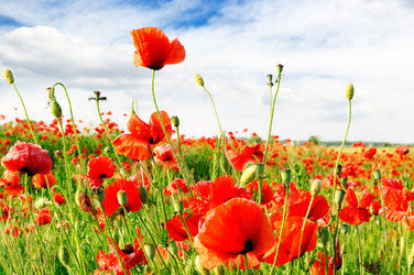 Similar image 1569251