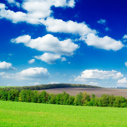 Similar image 1569253