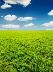 Similar image 1569256